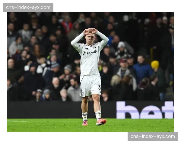 水晶宫2-2战平富勒姆，两队共计四次射正全部转化为进球